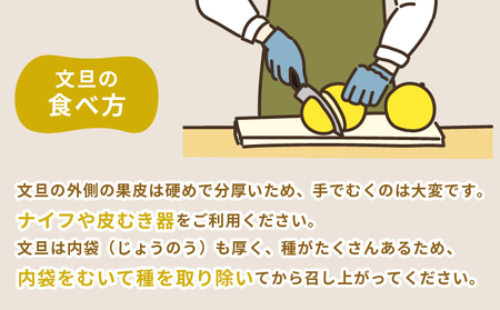 準贈答用 文旦 5kg ！矢野青果 B012-171012