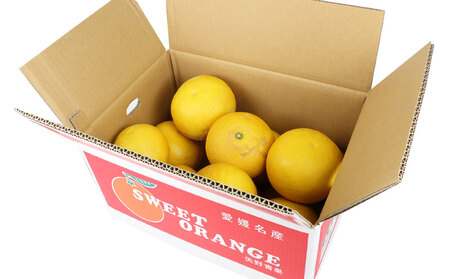 準贈答用 文旦 5kg ！矢野青果 B012-171012