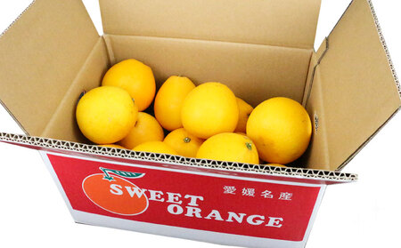 家庭用 河内晩柑 10kg 矢野青果 河内晩柑 B012-171013