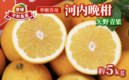 準 贈答用 河内晩柑 5kg 矢野青果 河内晩柑 B012-171014