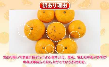 訳あり ひめのつき 5kg 杉本屋 柑橘 柑橘 B010-143007