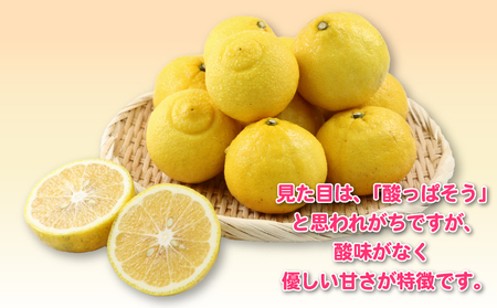 はるか 訳あり はるか 5kg 杉本屋 B010-143008