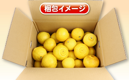 はるか 訳あり はるか 5kg 杉本屋 B010-143008