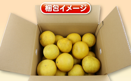 杉本屋 訳あり 土佐文旦 8kg B010-143010 文旦