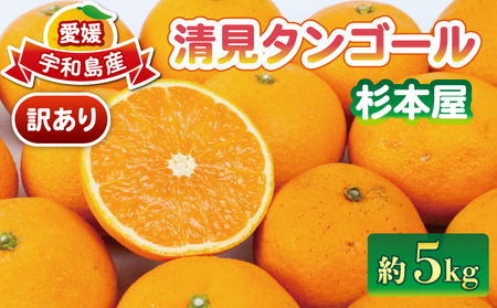 訳あり 清見オレンジ5kg 杉本屋 オレンジ B010-143011