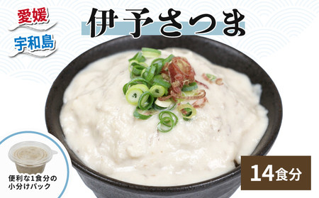 漁師飯！ 伊予さつま 60g×14個 河野鮮魚店 漁師飯 D010-177001