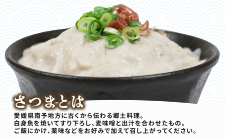 漁師飯！ 伊予さつま 60g×14個 河野鮮魚店 漁師飯 D010-177001