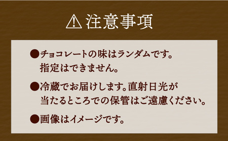 チョコ セット 久遠チョコレート いろどりBOX バレンタイン J020-167003