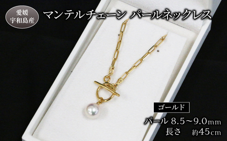 アコヤ真珠パールペアルース 8.5-9.0mm ホワイトカラー 起きよ