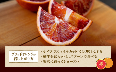 ブラッドオレンジ モロ 2.5kg コルレオファーム オレンジ B010-145004