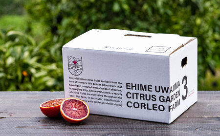 ブラッドオレンジ モロ 2.5kg コルレオファーム オレンジ B010-145004