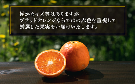 ブラッドオレンジ タロッコ 2.5kg コルレオファーム オレンジ B010-145005