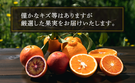 柑橘 詰合せ 2.5kg コルレオファーム 柑橘 B010-145007