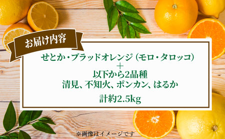 柑橘 詰合せ 2.5kg コルレオファーム 柑橘 B010-145007