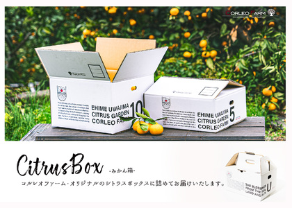 柑橘 詰合せ 2.5kg コルレオファーム 柑橘 B010-145007