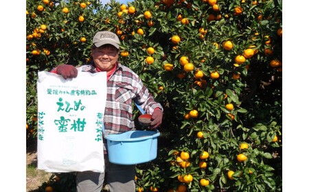 みかんジュース (720ml×3本) │ ストレート みかんジュース ワールドファーマーズ H012-024016