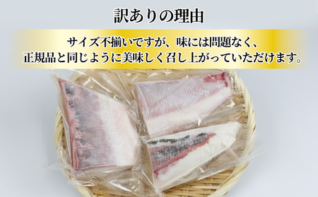 鰤 訳あり 超冷薫 加工 ブリ ブロック カット 600g オンスイ 鰤 buri 新鮮 真空 パック 刺身 お刺身 刺し身 しゃぶしゃぶ 鍋 ぶりしゃぶ 漬け丼 タタキ アレンジ 人気 海鮮 海産物 急速冷凍 特許技術 養殖 不揃い 加工品 国産 愛媛 宇和島 D010-159008