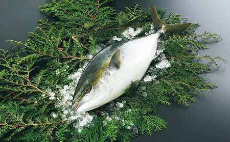 ぶりしゃぶセット600g戸島ぶりフレッシュつちやまD020-096013