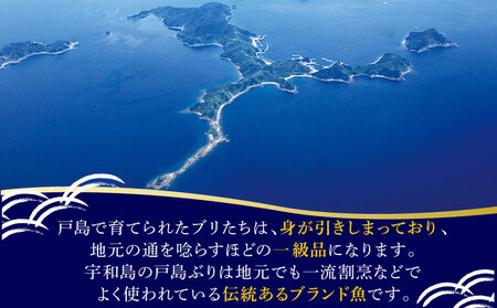 ぶりしゃぶセット600g戸島ぶりフレッシュつちやまD020-096013