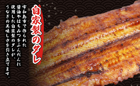 鰻 蒲焼 170 ~ 180g 3尾 タレ 河野鮮魚店 国産 鰻 D038-177004