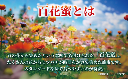 百花蜜 1kg ギフト箱入 元気や 非加熱 はちみつ 国産はちみつ 百花蜂蜜 純粋はちみつ 生はちみつ 生蜂蜜 蜂蜜 ハニー ギフト プレゼント 贈答用 数量限定 産地直送 国産 愛媛 宇和島 F020-176002