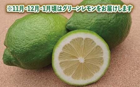 【レモン】国産訳ありレモン5.5kgつばさ農園檸檬|B010-048013