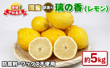 ★金の豚★無農薬レモン(わけあり10㎏) top2kg.jpg