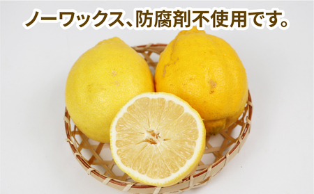 訳あり 璃の香 ( レモン ) 5kg つばさ農園 レモンB010-048014