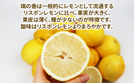 訳あり 璃の香 ( レモン ) 5kg つばさ農園 レモンB010-048014