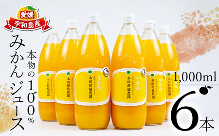 みかんジュース 本物の100％みかんジュース 1,000ml × 6本 木田柑橘農園 H025-185002