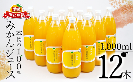 みかんジュース 本物の100％みかんジュース 1,000ml × 12本 木田柑橘農園 H048-185003