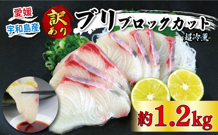 鰤 訳あり 超冷薫 加工 ブリ ブロック カット 1.2kg オンスイ 鰤 ぶり buri ぶり刺身 ブリしゃぶ ぶり切り身 鰤刺身 ブリ D020-159010