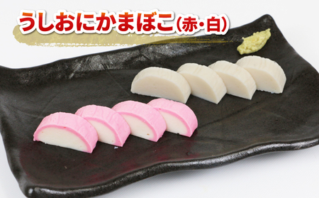 じゃこ天 真空 セット 中村かまぼこ店 かまぼこ C010-013006