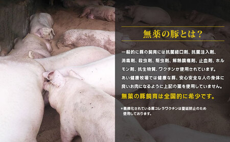 ミックス ミンチ 計 1kg 無薬 あい健康豚 ミンチ E012-154007