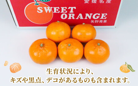 せとか 5kg 準 贈答用 矢野青果 せとか B012-171021
