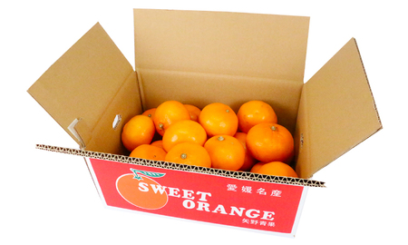 せとか 5kg 準 贈答用 矢野青果 せとか B012-171021