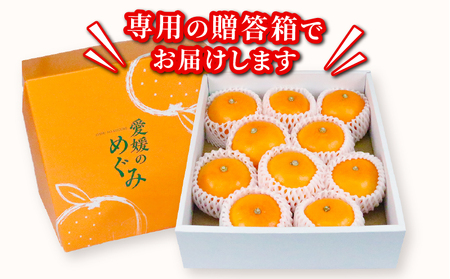 せとか 2 ~ 3kg 贈答用 矢野青果 せとか B012-171022