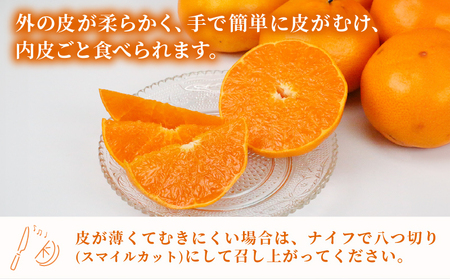 せとか 2 ~ 3kg 贈答用 矢野青果 せとか B012-171022