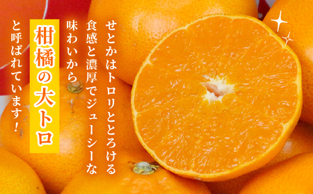 せとか 2 ~ 3kg 贈答用 矢野青果 せとか B012-171022