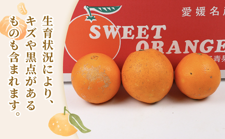 ネーブル オレンジ 5kg 準 贈答用 矢野青果 オレンジ B012-171019