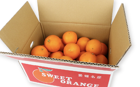 ネーブル オレンジ 5kg 準 贈答用 矢野青果 オレンジ B012-171019