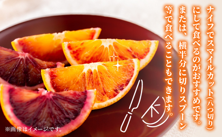 【オレンジ】ブラッドオレンジタロッコ5kg準贈答用矢野青果|B012-171020