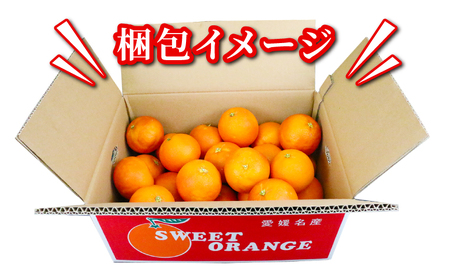 【オレンジ】ブラッドオレンジタロッコ5kg準贈答用矢野青果|B012-171020