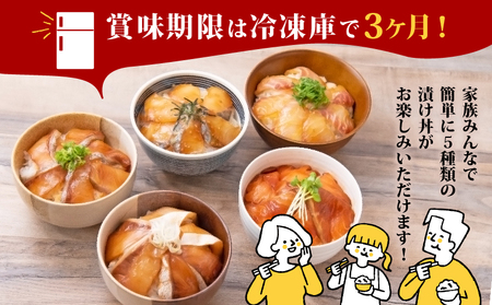 漬丼 厳選 活締め 5種 漬け丼 6食 セット 南予ビージョイ 漬け丼 海鮮 漬け 海鮮丼 漬丼 丼 海鮮丼 漬丼 漬け丼 漬け丼 海鮮丼 漬け丼 D010-150005