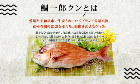 海鮮丼 鯛一郎クン 4食分 コバヤ 海鮮丼 D020-059010