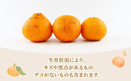 【みかん】みかん準贈答用不知火5kg矢野青果|B012-171018