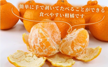 【みかん】みかん準贈答用不知火5kg矢野青果|B012-171018