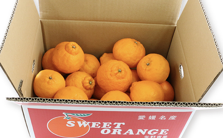 【みかん】みかん準贈答用不知火5kg矢野青果|B012-171018