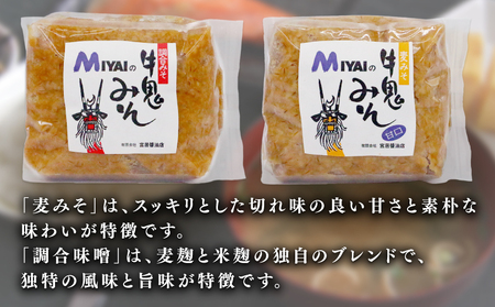 調味料セット しょうゆ と 味噌 詰め合わせ 宮居醤油店 しょうゆ J015-122005