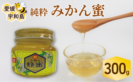 みかん蜜 300g 元気や 非加熱 はちみつ 国産はちみつ みかん蜂蜜 みかん 蜜柑 柑橘 純粋はちみつ 生はちみつ 生蜂蜜 蜂蜜 ハニー 数量限定 産地直送 国産 愛媛 宇和島 F012-176006